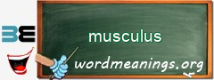 WordMeaning blackboard for musculus